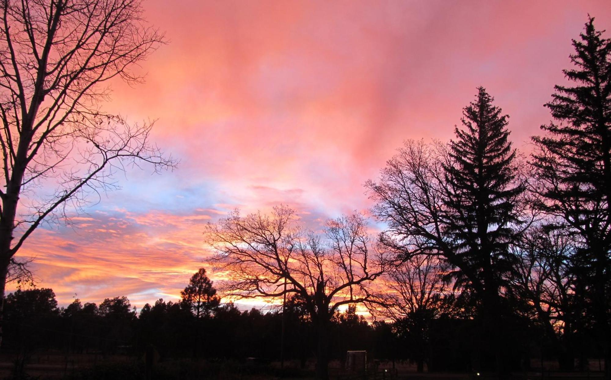 Lazy Oaks 2* Pinetop-Lakeside